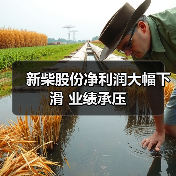 新柴股份净利润大幅下滑 业绩承压 新柴股份净利润大幅下滑 业绩承压(图2)
