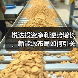 智能农业装备与新能源布局:悦达投资如何扭亏为盈? 悦达投资净利逆势增长,新能源布局如何引关注?(图4)