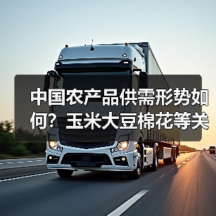 中国农产品供需形势如何？玉米大豆棉花等关键数据深度解析（图2）