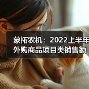 蒙拓农机：2022上半年外购商品项目类销售额增加228%（图2）