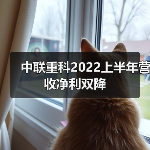 中联重科2022上半年营收净利双降 中联重科2022上半年营收净利双降(图2)