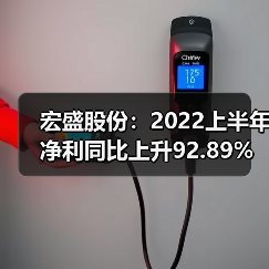 宏盛股份：2022上半年净利同比上升92.89%（图4）
