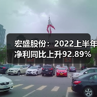 宏盛股份：2022上半年净利同比上升92.89%（图1）
