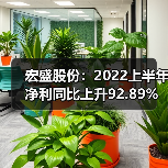 宏盛股份：2022上半年净利同比上升92.89%（图3）