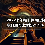 林海股份上半年农业机械盈利能力提升 面临多重风险挑战-辰飞雨畜牧机械 2022半年报丨林海股份净利润同比增长21.9%(图3)