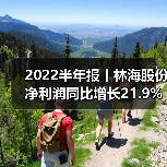林海股份上半年农业机械盈利能力提升 面临多重风险挑战-辰飞雨畜牧机械 2022半年报丨林海股份净利润同比增长21.9%(图1)