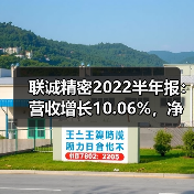 联诚精密2022半年报:营收增长10.06%,净利下降48.92% 联诚精密2022半年报:营收增长10.06%,净利下降48.92%(图4)