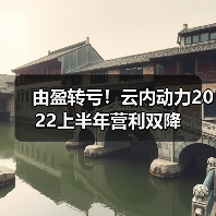 由盈转亏！云内动力2022上半年营利双降（图2）