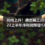 同向上升！德恩精工2022上半年净利润预增127.14%-150.52%（图3）