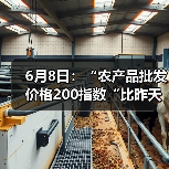 农产品价格今日如何?市场行情全解析-辰飞雨畜牧机械 6月8日:“农产品批发价格200指数“比昨天下降0.57个点(图2)