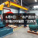 农产品价格今日如何?市场行情全解析-辰飞雨畜牧机械 6月8日:“农产品批发价格200指数“比昨天下降0.57个点(图3)