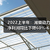 2022上半年：潍柴动力净利润同比下降60%-65%（图4）