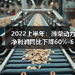 2022上半年：潍柴动力净利润同比下降60%-65%（图2）