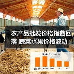农产品批发价格指数回落 蔬菜水果价格波动 农产品批发价格指数回落 蔬菜水果价格波动(图3)