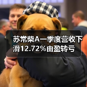 苏常柴A一季度营收下滑12.72%由盈转亏 苏常柴A一季度营收下滑12.72%由盈转亏(图2)