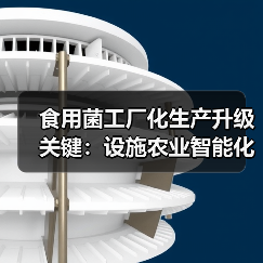 食用菌工厂化生产升级关键:设施农业智能化发展 食用菌工厂化生产升级关键:设施农业智能化发展(图2)