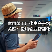 食用菌工厂化生产升级关键:设施农业智能化发展 食用菌工厂化生产升级关键:设施农业智能化发展(图3)