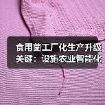 食用菌工厂化生产升级关键:设施农业智能化发展 食用菌工厂化生产升级关键:设施农业智能化发展(图4)