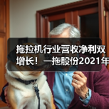 拖拉机行业营收净利双增长!一拖股份2021年市场表现解析 拖拉机行业营收净利双增长!一拖股份2021年市场表现解析(图2)
