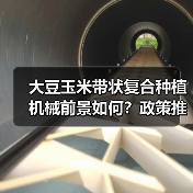 大豆玉米带状复合种植机械前景如何？政策推动下机遇几何？（图2）