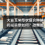 大豆玉米带状复合种植机械前景如何？政策推动下机遇几何？（图3）