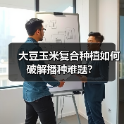 大豆玉米复合种植如何破解播种难题？（图1）