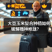 大豆玉米复合种植如何破解播种难题？（图2）