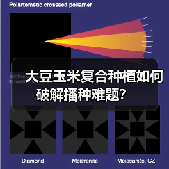 大豆玉米复合种植如何破解播种难题？（图4）