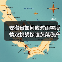 安徽省如何应对雨雪疫情双挑战保障蔬菜稳产保供 安徽省如何应对雨雪疫情双挑战保障蔬菜稳产保供(图3)