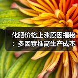 化肥价格上涨原因揭秘:多因素推高生产成本 化肥价格上涨原因揭秘:多因素推高生产成本(图2)