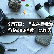 9月7日:“农产品批发价格200指数”比昨天上升0.20个点 9月7日:“农产品批发价格200指数”比昨天上升0.20个点(图2)