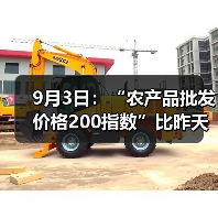9月3日:“农产品批发价格200指数”比昨天下降0.10个点 9月3日:“农产品批发价格200指数”比昨天下降0.10个点(图4)