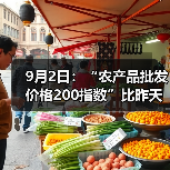 农产品价格今日波动明显,蔬菜肉类齐涨水产品跌?-辰飞雨畜牧机械 9月2日:“农产品批发价格200指数”比昨天上升0.12个点(图1)