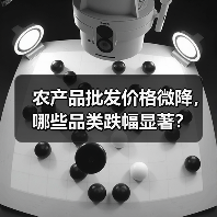 今日农产品价格波动大吗?重点品类涨跌分析-辰飞雨畜牧机械 农产品批发价格微降,哪些品类跌幅显著?(图4)