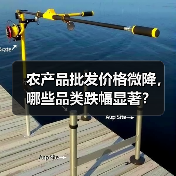 今日农产品价格波动大吗?重点品类涨跌分析-辰飞雨畜牧机械 农产品批发价格微降,哪些品类跌幅显著?(图1)