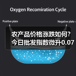 农产品价格涨跌如何?今日批发指数微升0.07点 农产品价格涨跌如何?今日批发指数微升0.07点(图1)