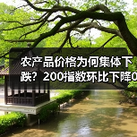 农产品价格为何集体下跌?200指数环比下降0.14点 农产品价格为何集体下跌?200指数环比下降0.14点(图4)