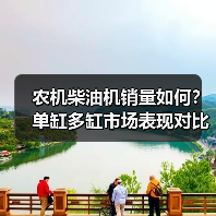 农机柴油机销量如何?单缸多缸市场表现对比分析 农机柴油机销量如何?单缸多缸市场表现对比分析(图4)