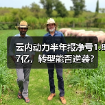 云内动力半年报净亏1.87亿,转型能否逆袭? 云内动力半年报净亏1.87亿,转型能否逆袭?(图2)