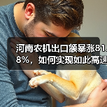 河南农机出口额暴涨81.8%,如何实现如此高速增长? 河南农机出口额暴涨81.8%,如何实现如此高速增长?(图2)