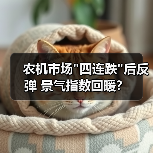 农机市场