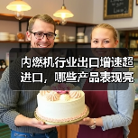 内燃机行业出口增速超进口，哪些产品表现亮眼？（图4）