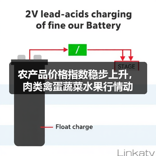 农产品价格指数稳步上升，肉类禽蛋蔬菜水果行情动态