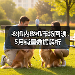农机内燃机市场回暖：5月销量数据解析（图1）