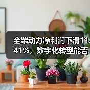 全柴动力净利润下滑11.41%，数字化转型能否逆袭？（图4）