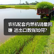 农机配套内燃机销量回暖 进出口数据如何？（图4）