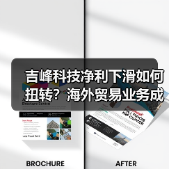吉峰科技净利下滑如何扭转？海外贸易业务成新方向（图2）