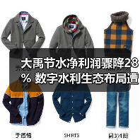 大禹节水净利润骤降28% 数字水利生态布局遭遇研发与市场双压（图2）