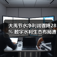 大禹节水净利润骤降28% 数字水利生态布局遭遇研发与市场双压（图4）
