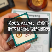 苏常柴A年报：营收下滑下智能化与新能源双轨布局（图2）